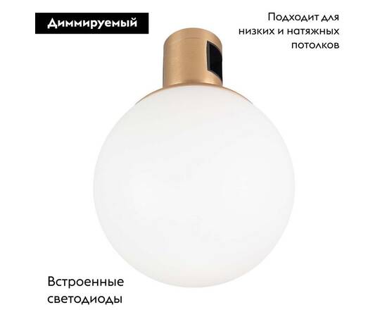 Трековый светодиодный светильник Arlight Art-Apriori-Sfero-R120-5W Day4000 044905 (#акция#), изображение 2