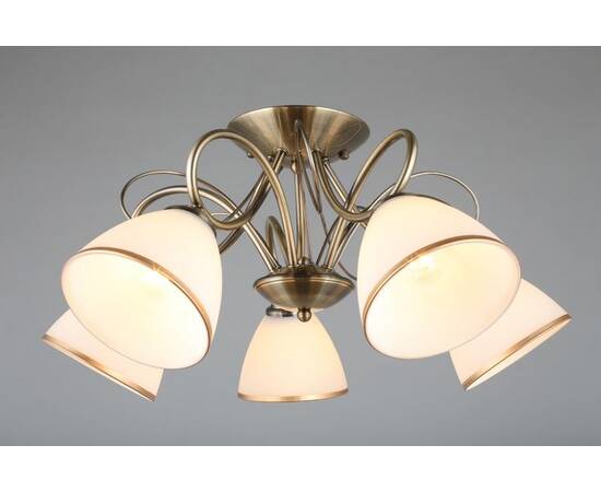 Потолочная люстра Omnilux Alimini OML-25307-05, изображение 3