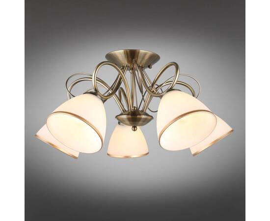 Потолочная люстра Omnilux Alimini OML-25307-05, изображение 7