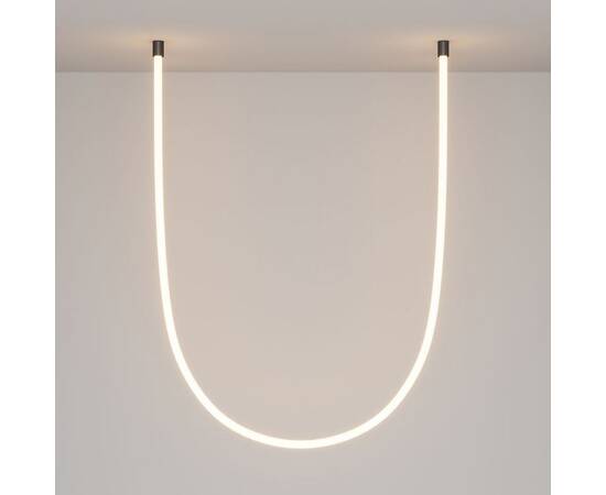 Крепление потолочное Maytoni (2 шт) LNM-D25-2CS-B 20320, изображение 2