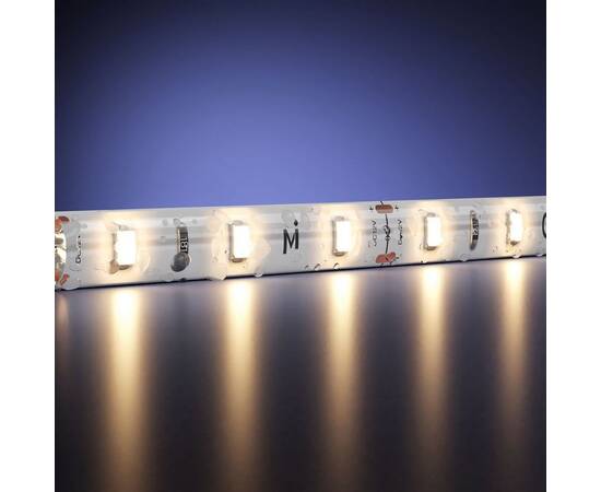 Светодиодная влагозащищенная лента Maytoni 4,8W/m 60LED/m 2835SMD теплый белый 5M 201006