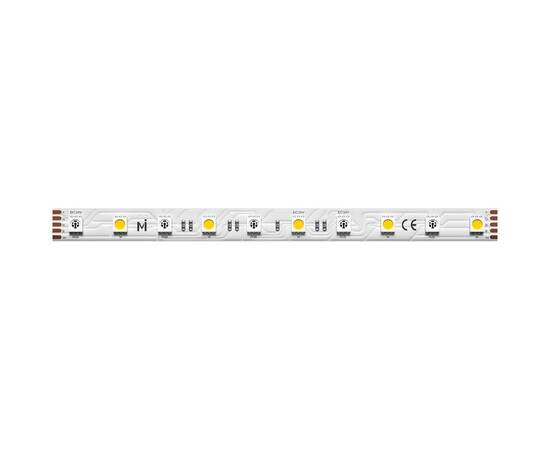 Светодиодная лента Maytoni 14,4W/m 60LED/m 5050SMD дневной белый + RGB 5M 201133, изображение 2