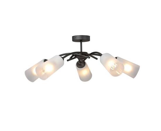 Потолочная люстра Vitaluce V2850-1/5PL, изображение 2