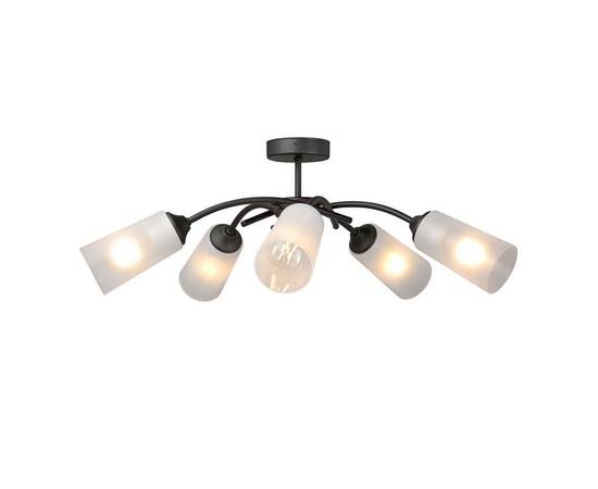 Потолочная люстра Vitaluce V2850-1/5PL, изображение 4