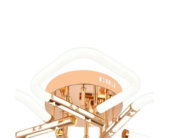 Потолочный светодиодный светильник Escada Lacerta 10265/5LED, изображение 2