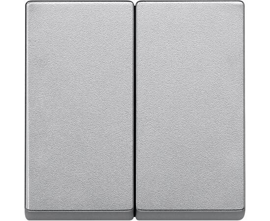 Клавиша двойная Schneider Electric Merten System M MTN433560