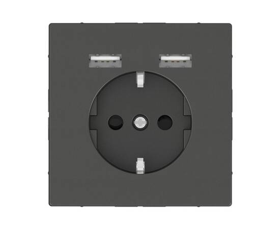 Розетка компьютерная USBx2 Schneider Electric Merten D-Life MTN2366-6034