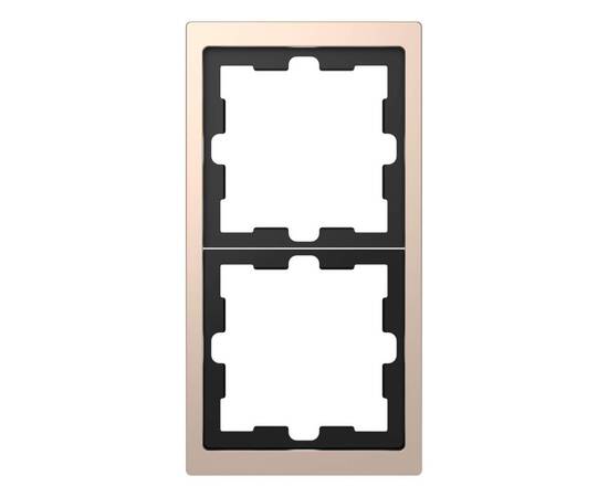Рамка 2-постовая Schneider Electric Merten D-Life MTN4020-6551