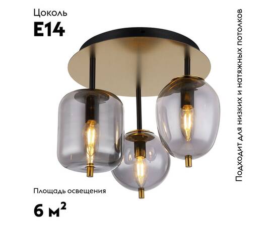 Потолочная люстра Lussole LSP-8730, изображение 2