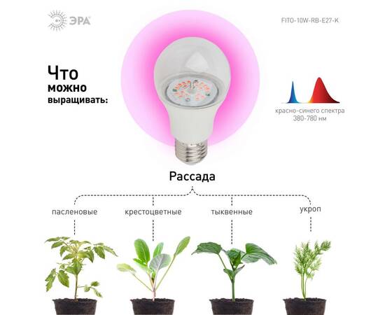 Фитолампа для растений светодиодная ЭРА E27 10W 1310K FITO-10W-RB-E27-K Б0039069, изображение 3