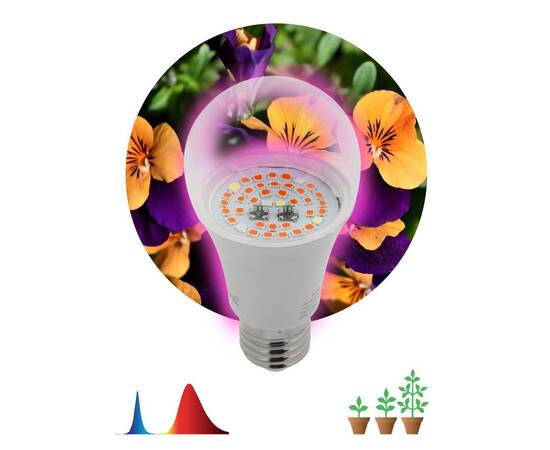 Фитолампа для растений светодиодная ЭРА E27 12W 1310K FITO-12W-RB-E27-K Б0039070, изображение 4