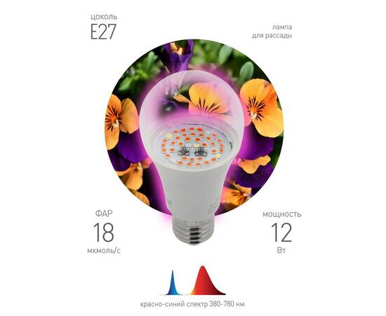 Фитолампа для растений светодиодная ЭРА E27 12W 1310K FITO-12W-RB-E27-K Б0039070, изображение 6