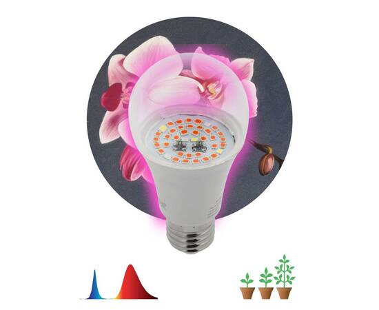Фитолампа для растений светодиодная ЭРА E27 14W 1310K FITO-14W-RB-E27-K Б0039071, изображение 2