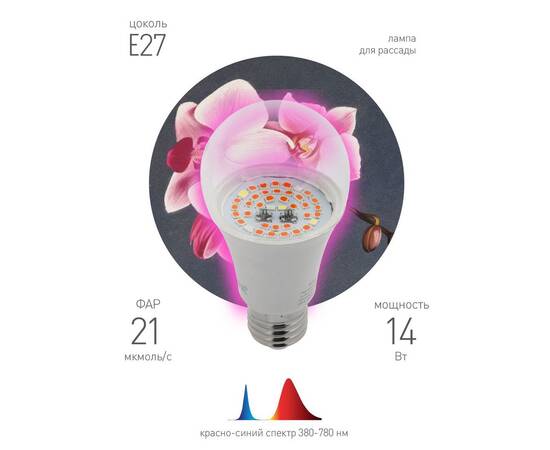 Фитолампа для растений светодиодная ЭРА E27 14W 1310K FITO-14W-RB-E27-K Б0039071, изображение 3