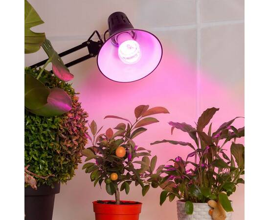 Фитолампа для растений светодиодная ЭРА E27 14W 1310K FITO-14W-RB-E27-K Б0039071, изображение 6