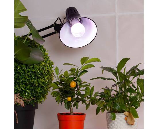 Фитолампа для растений светодиодная ЭРА E27 11W 2150K FITO-11W-Ra90-E27 Б0039172, изображение 2