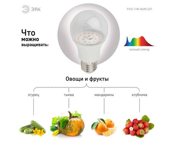 Фитолампа для растений светодиодная ЭРА E27 11W 2150K FITO-11W-Ra90-E27 Б0039172, изображение 3