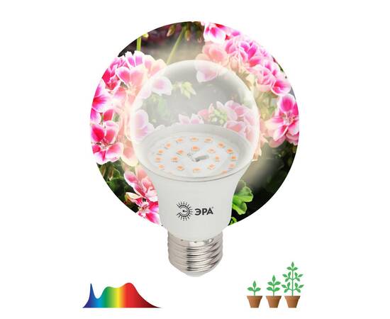 Фитолампа для растений светодиодная ЭРА E27 11W 2150K FITO-11W-Ra90-E27 Б0039172, изображение 4