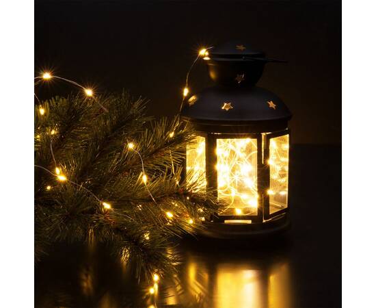 Гирлянда Eurosvet 400-009 400-009 теплый белый 10 м IP20 a060413, изображение 2