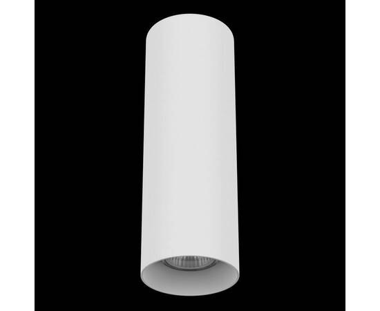 Потолочный светильник Lightstar Rullo 216496, изображение 2