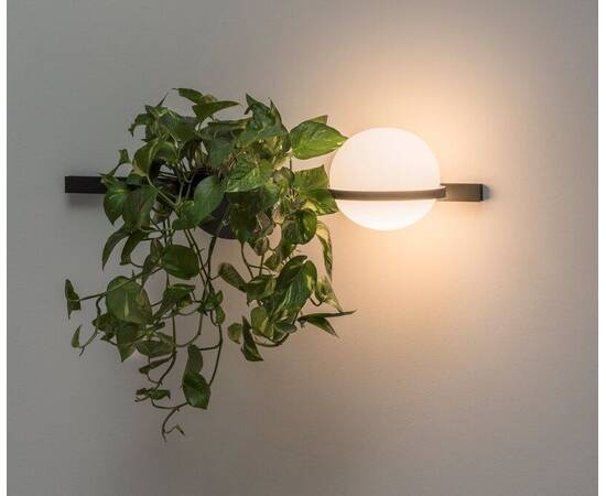 Настенный светильник ImperiumLoft Palma 99816-22, изображение 4