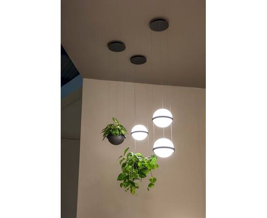 Подвесной светильник ImperiumLoft Palma 99818-22, изображение 4