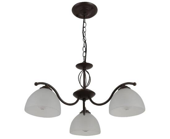 Подвесная люстра Rivoli Jackeline 9141-303 Б0054755, изображение 2