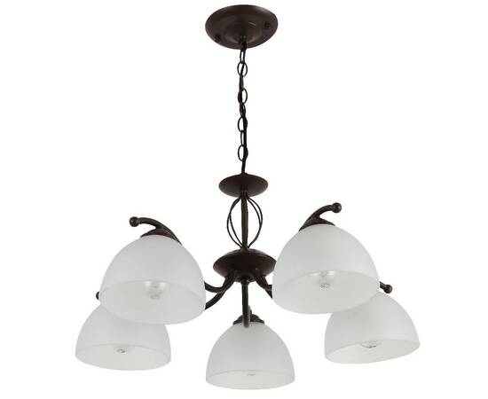 Подвесная люстра Rivoli Jackeline 9141-305 Б0054758, изображение 2