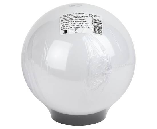 Уличный светильник Эра НТУ 01-60-201 Б0048735, изображение 5