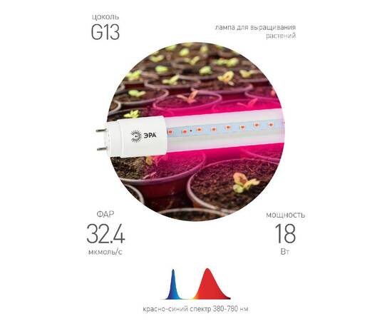 Фитолампа для растений Эра FITO-18W-RB-Т8-G13-NL Б0042990, изображение 3