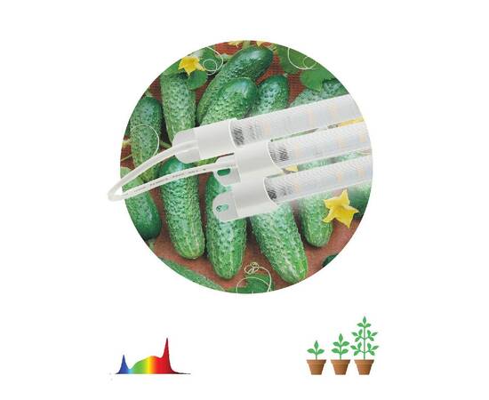 Модульный светильник для растений Эра FITO-3х10W-LINE-Ra90 Б0049315, изображение 2