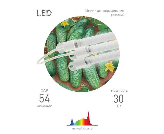Модульный светильник для растений Эра FITO-3х10W-LINE-Ra90 Б0049315, изображение 5