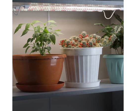 Модульный светильник для растений Эра FITO-3х10W-LINE-Ra90 Б0049315, изображение 10