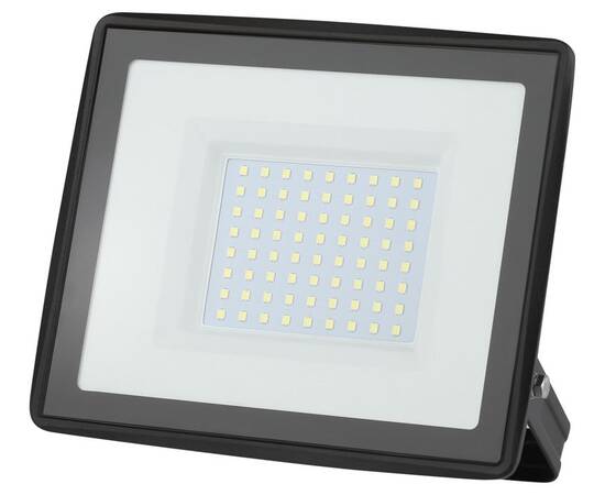 Прожектор Эра LPR-023-0-65K-100 Б0052026