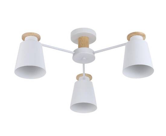 Потолочная люстра Rivoli Adna 9112-303 Б0053435, изображение 2