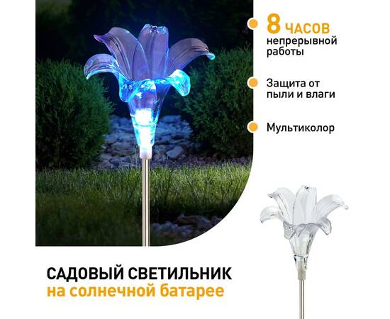 Уличный светильник Эра ERASF22-19 Б0053379, изображение 6