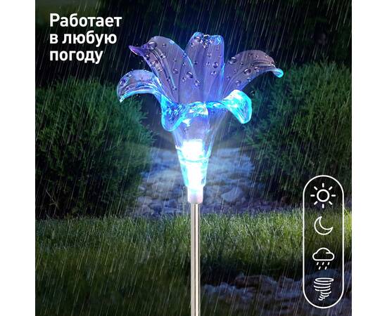 Уличный светильник Эра ERASF22-19 Б0053379, изображение 7