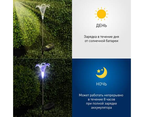 Уличный светильник Эра ERASF22-19 Б0053379, изображение 10