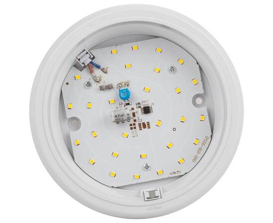 Настенно-потолочный светильник Эра SPB-301-2-4K-05 Б0055040, изображение 5