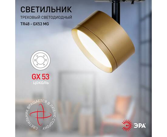 Трековый светильник Эра TR48 - GX53 MG Б0054160, изображение 6