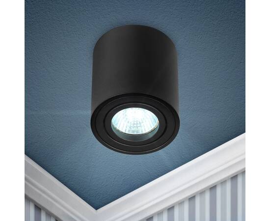 Накладной светильник Эра OL21 BK Б0054393, изображение 2