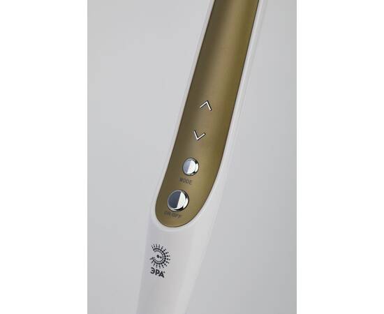 Настольная лампа Эра NLED-496-12W-G Б0052769, изображение 10