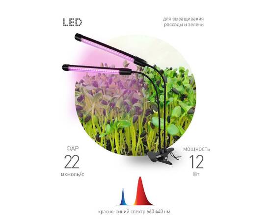 Светильник для растений Эра FITO-20W-АLED-N Б0053059, изображение 9