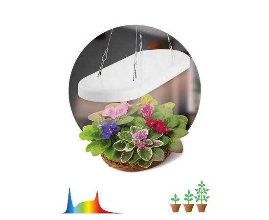 Подвесной светильник для растений Эра FITO-25W-QLED-FLY Б0053062, изображение 2