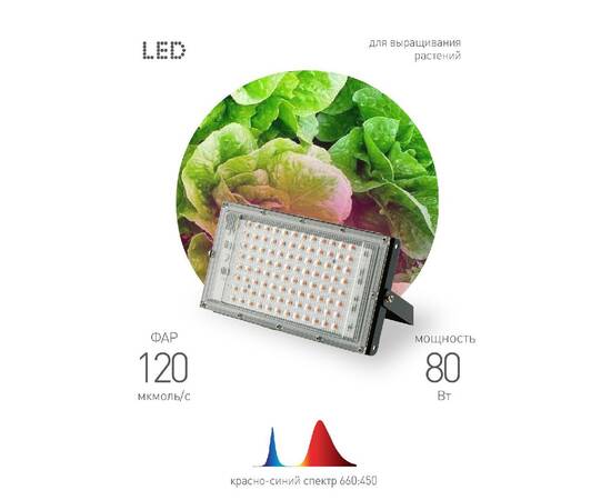Фитопрожектор для растений Эра FITO-80W-RB-LED-Y Б0053082, изображение 3