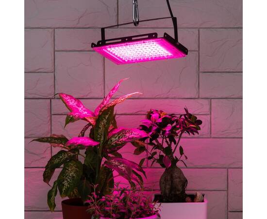 Фитопрожектор для растений Эра FITO-80W-RB-LED-Y Б0053082, изображение 9