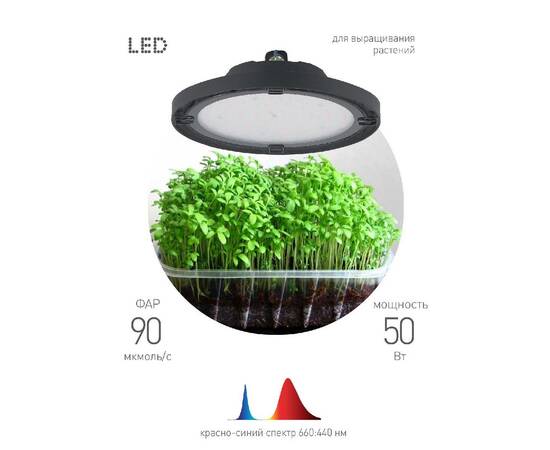 Фитопрожектор для растений Эра FITO-50W-RB-LED-UFO Б0053280, изображение 2