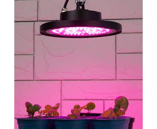 Фитопрожектор для растений Эра FITO-50W-RB-LED-UFO Б0053280, изображение 11