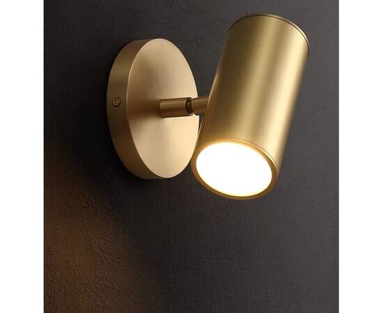 Спот iLamp Plum 8860W BR-BK