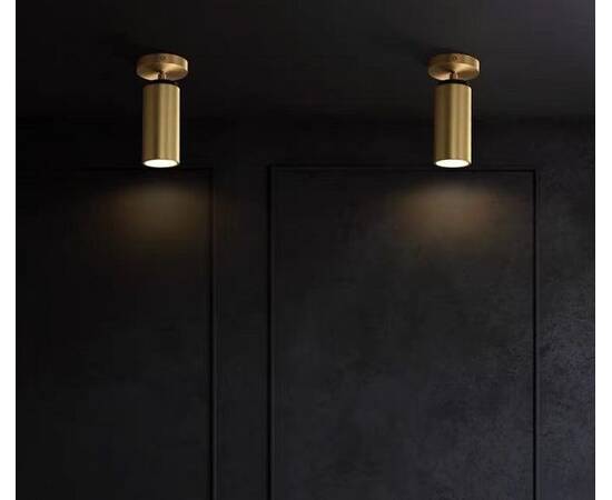 Спот iLamp Plum 8861C BR-BK, изображение 2